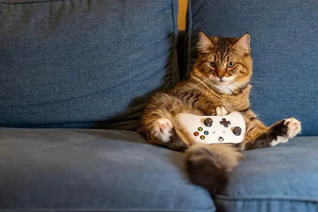 Gadgets für interaktive Spiele: Top Empfehlungen