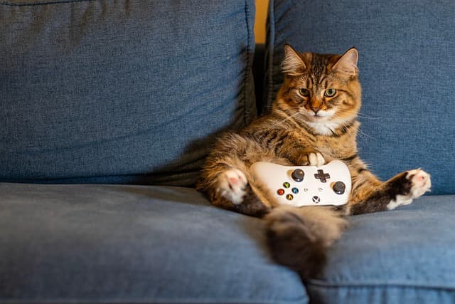 Die besten Gadgets für kreatives Gaming